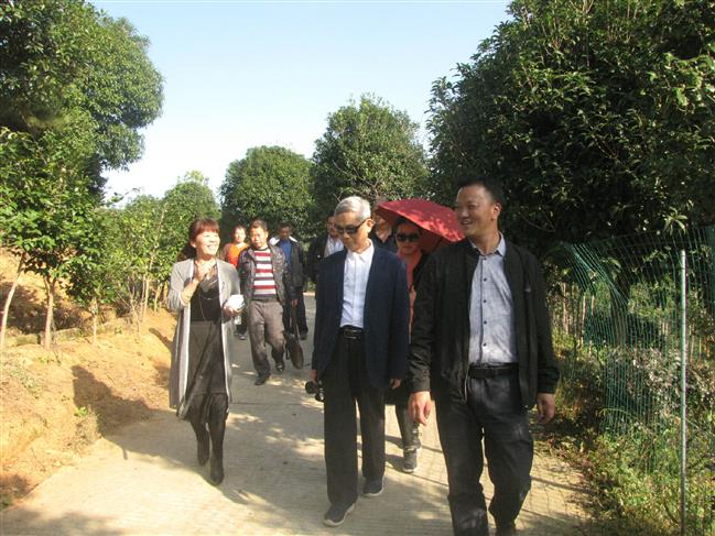 QQ图片20181101160651