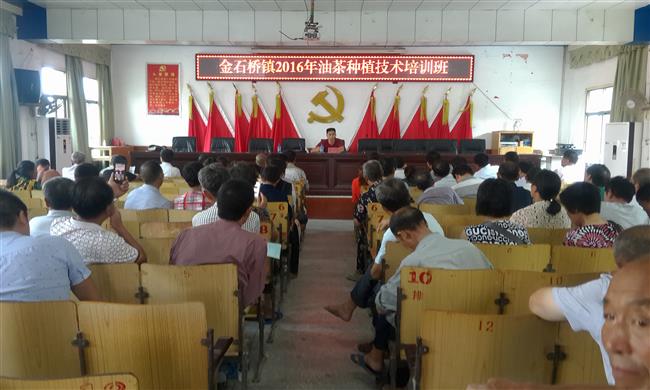 茶油种植技术培训