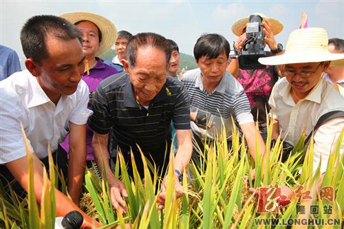 袁隆平视察隆回羊古坳超级稻亩产1000公斤攻关试验田