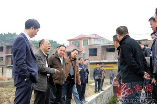 隆回县人大常委会视察农业重点项目