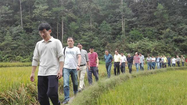 wxid_06pfvt4tyigs22_1442929044906_26 wxid_06pfvt4tyigs22_1442929044906_26