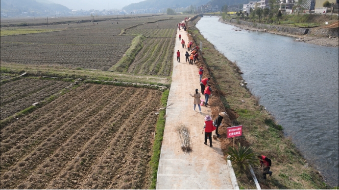 西洋江镇600名志愿者义务植树共建美丽乡村