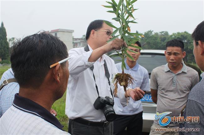 IMG_6943_看图王 IMG_6943_看图王