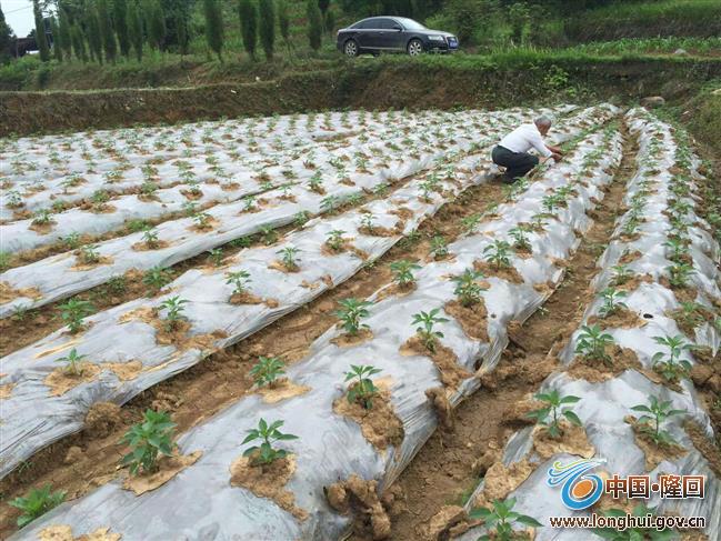 QQ图片20150515082915 QQ图片20150515082915