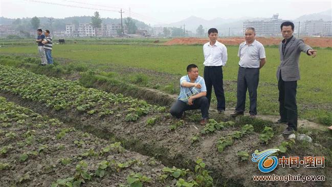 范志峰mmexport1431830143862 范志峰mmexport1431830143862