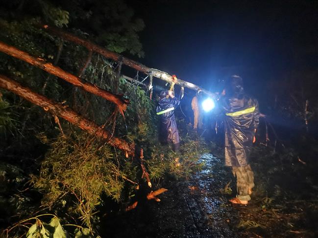 e262285bae1913f7f80d781a4842e73