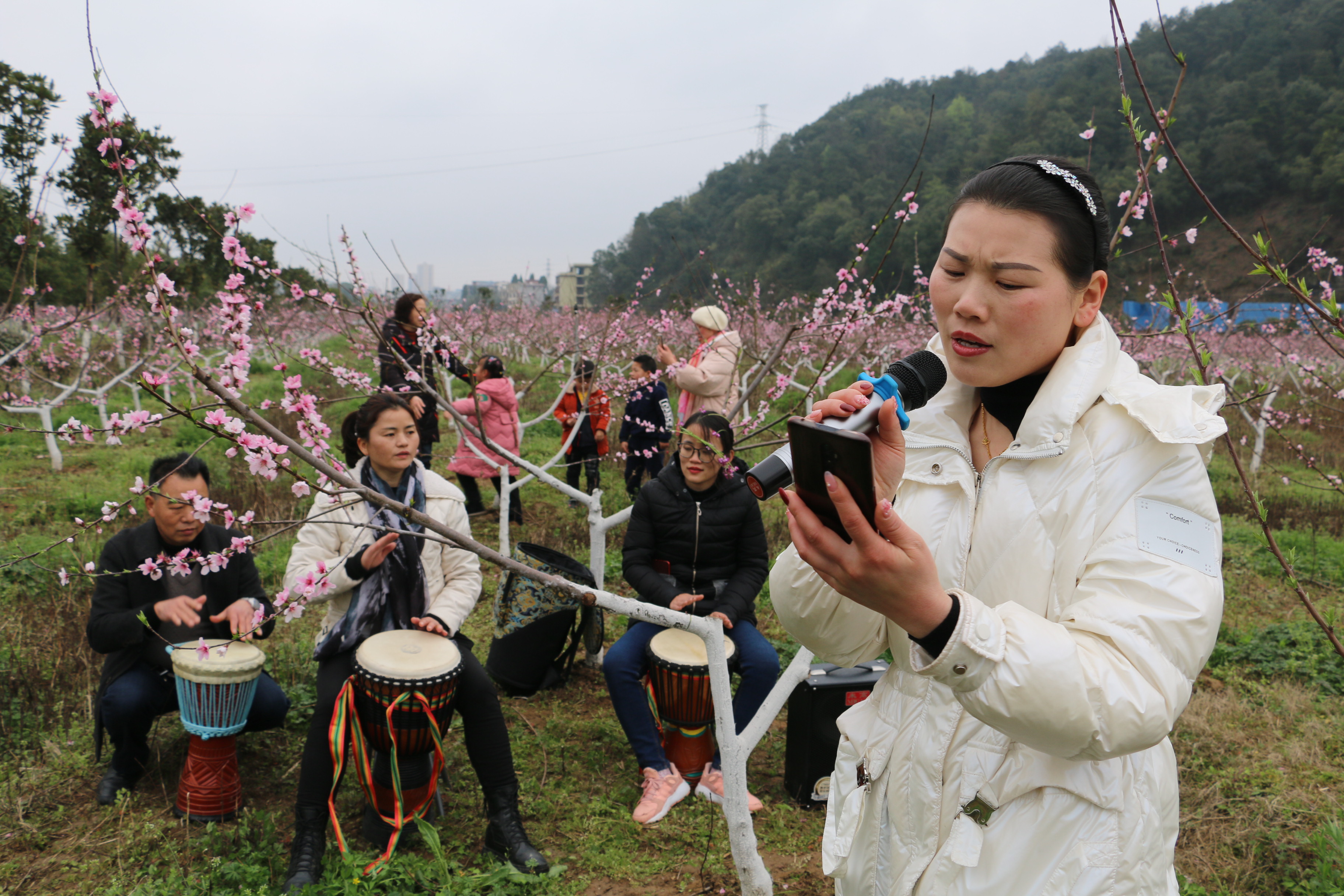 沙坪村桃花盛開遊客來_社會民生_隆回縣人民政府